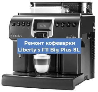 Замена прокладок на кофемашине Liberty's F11 Big Plus 8L в Перми